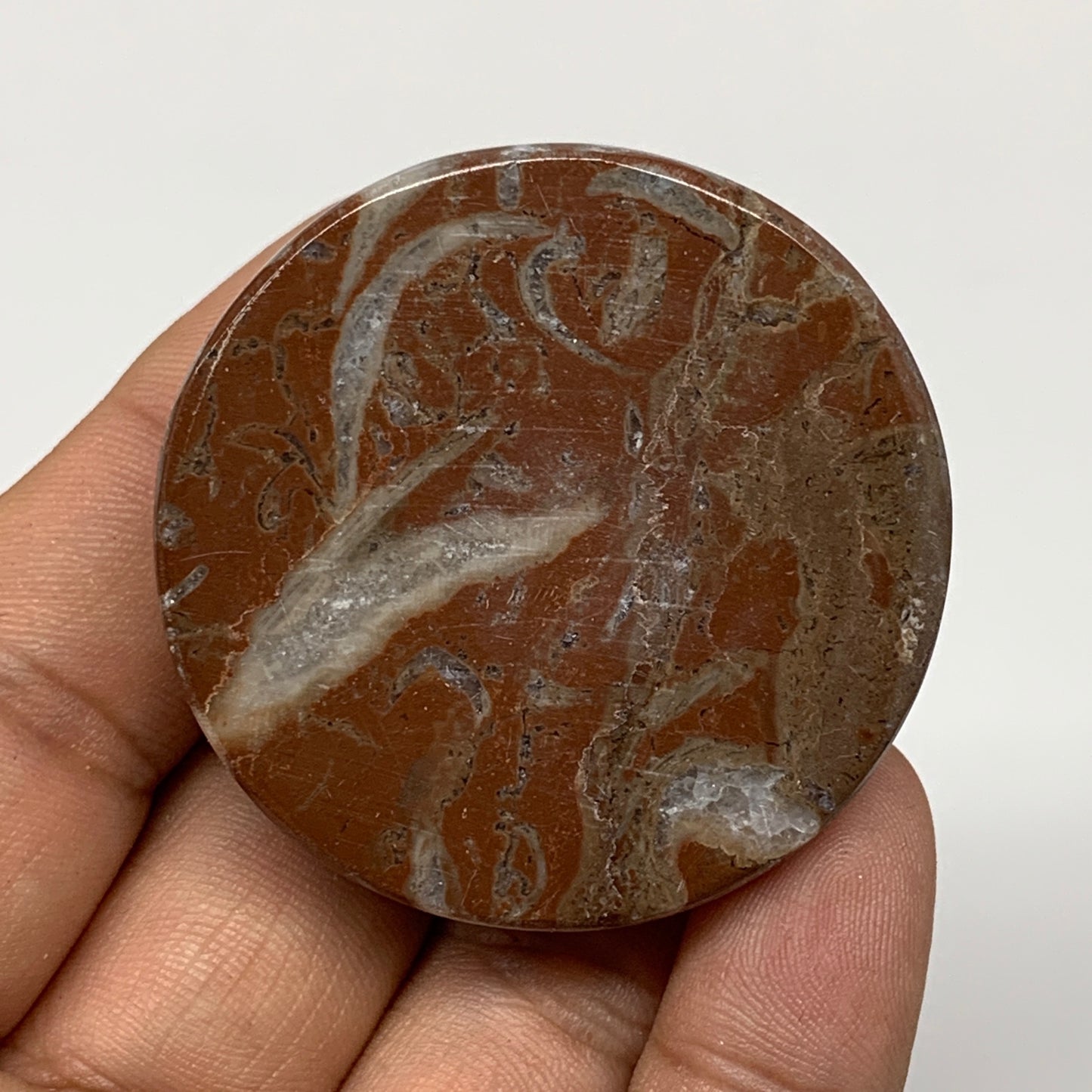 47.9g, 1.8"x0.6", Natural Untreated Red Shell Fossils Round Palms-tone, F1096