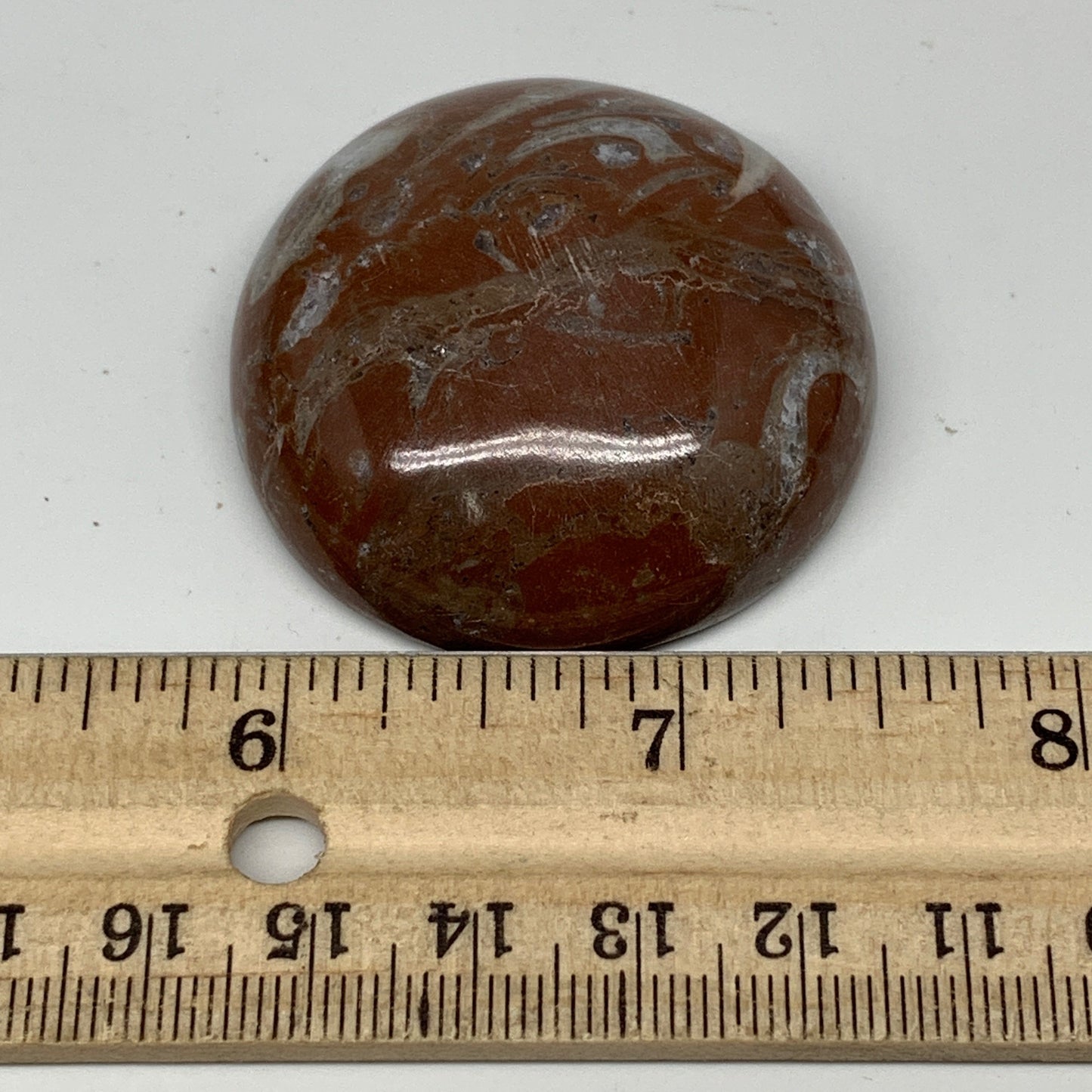 47.9g, 1.8"x0.6", Natural Untreated Red Shell Fossils Round Palms-tone, F1096