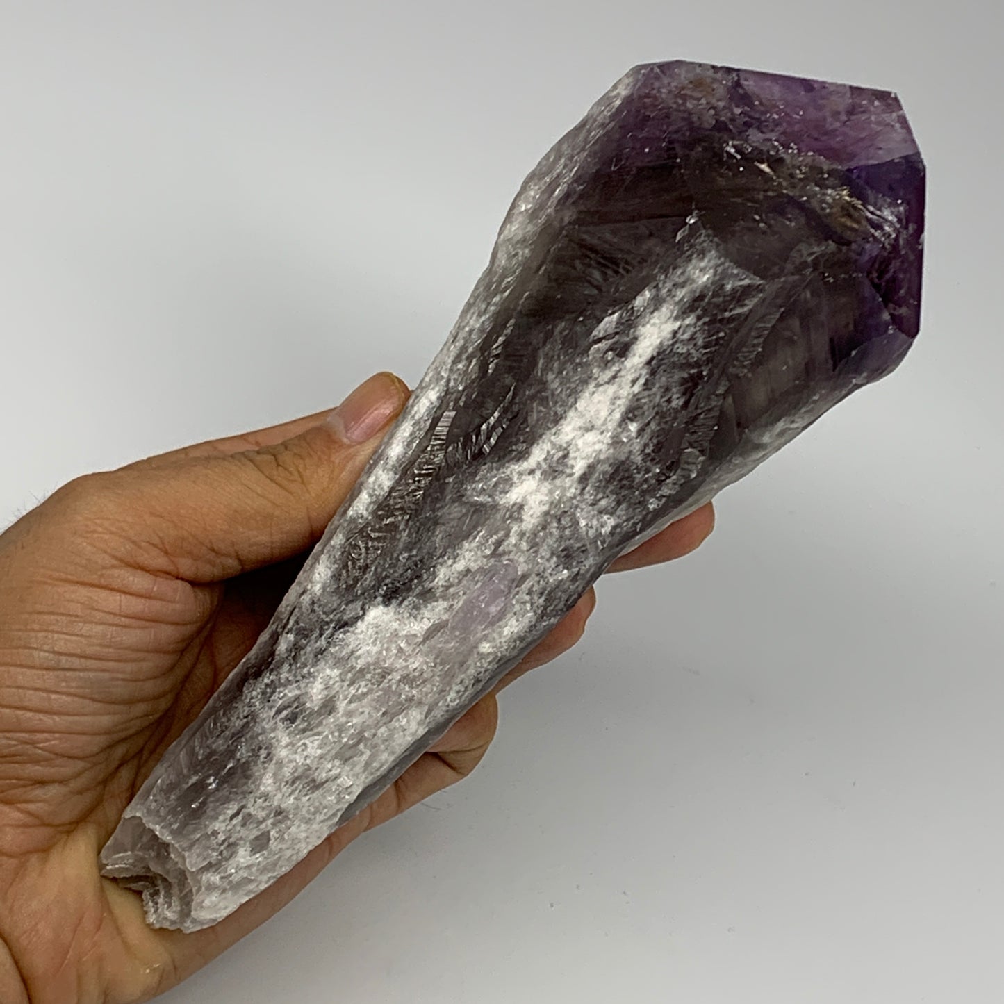 710g,8.1"x2.5"x2.5",Amethyst Point Polished Rough lower part from Brazil,B19105