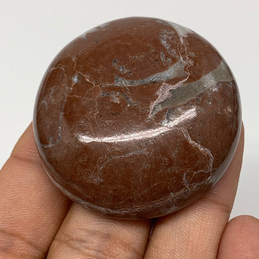 50.4g, 1.8"x0.6", Natural Untreated Red Shell Fossils Round Palms-tone, F1097