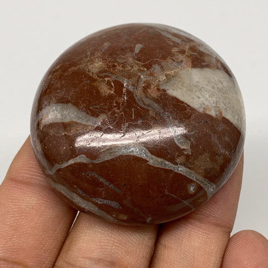 49.9g, 1.8"x0.6", Natural Untreated Red Shell Fossils Round Palms-tone, F1098