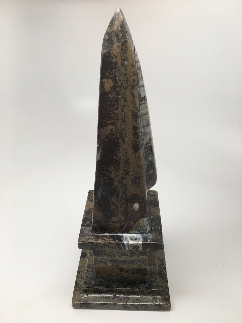 1398 Grams, 9.75" x 3.6" Brown TowerObelisk Fossils Orthoceras @Morocco,MF1026