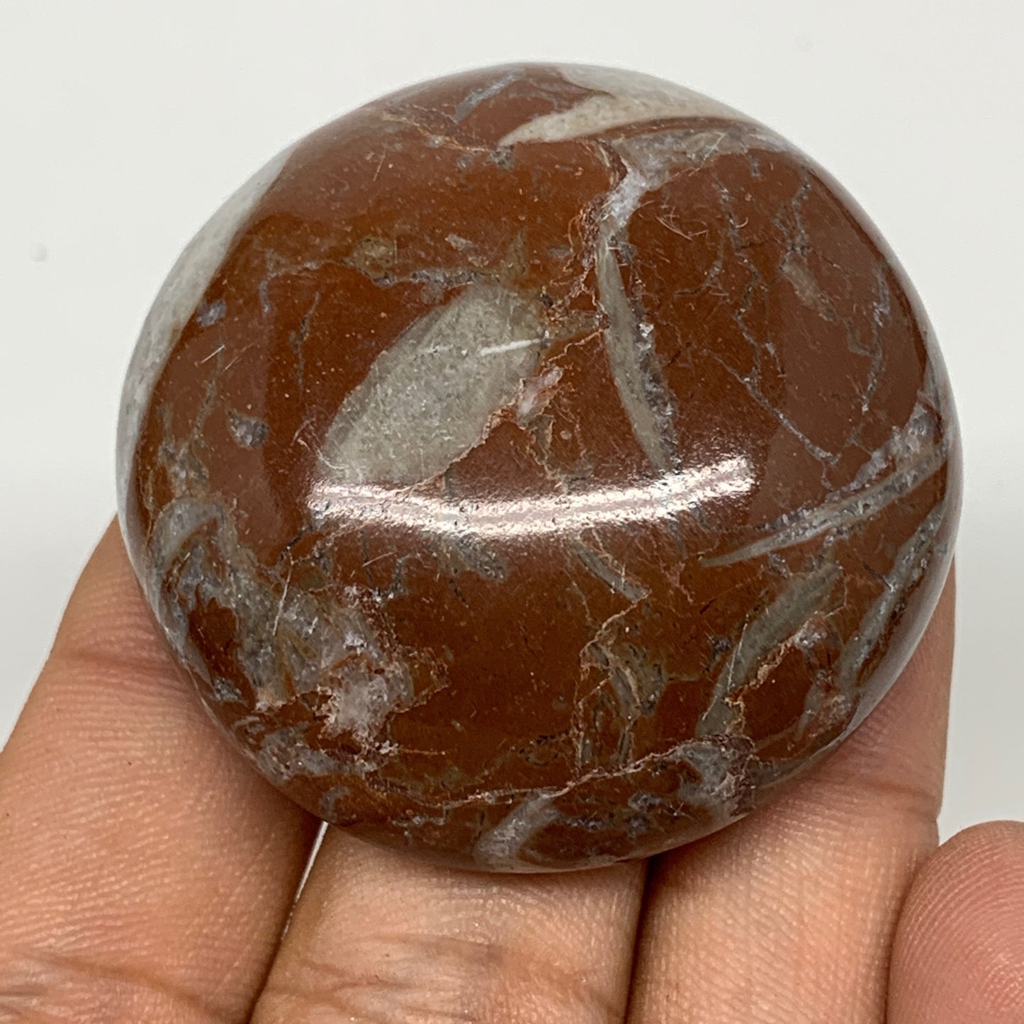 55.6g, 1.8"x0.7", Natural Untreated Red Shell Fossils Round Palms-tone, F1100