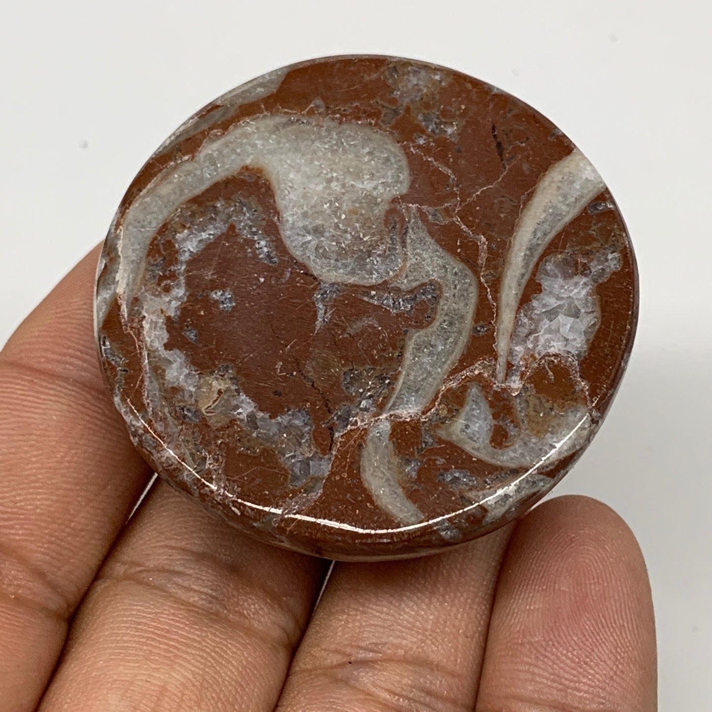 55.6g, 1.8"x0.7", Natural Untreated Red Shell Fossils Round Palms-tone, F1100