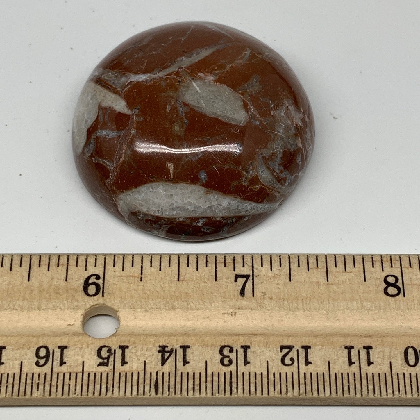 55.6g, 1.8"x0.7", Natural Untreated Red Shell Fossils Round Palms-tone, F1100