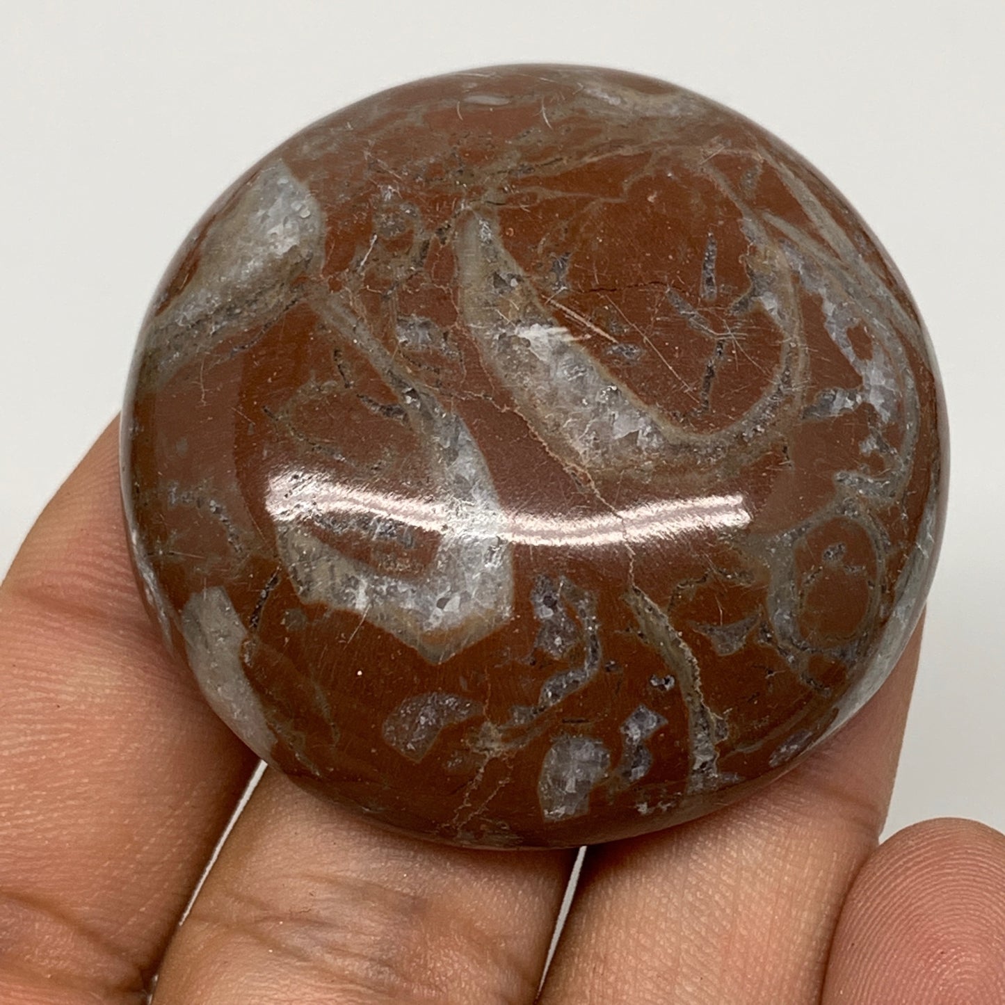 43.5g, 1.8"x0.6", Natural Untreated Red Shell Fossils Round Palms-tone, F1101