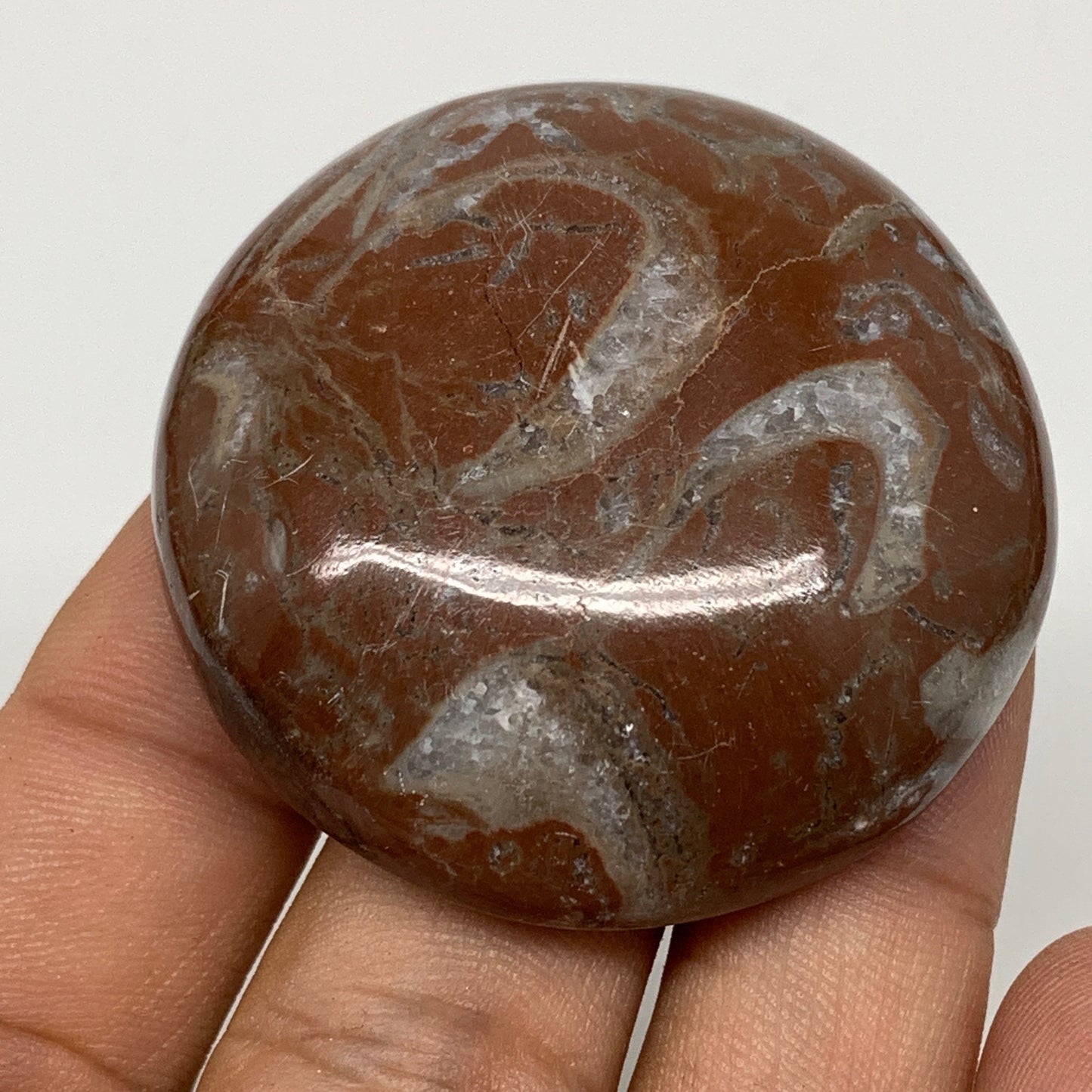 43.5g, 1.8"x0.6", Natural Untreated Red Shell Fossils Round Palms-tone, F1101