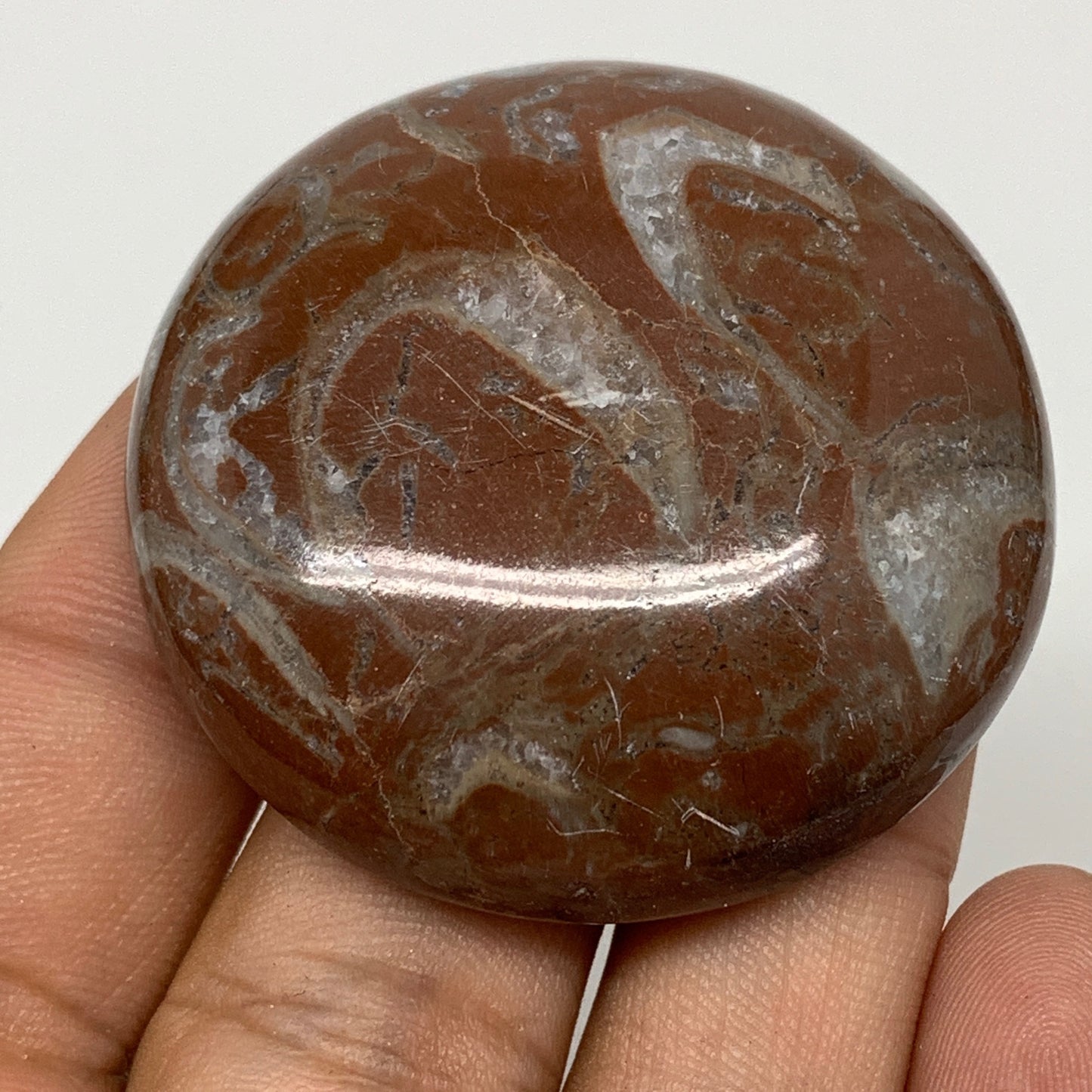 43.5g, 1.8"x0.6", Natural Untreated Red Shell Fossils Round Palms-tone, F1101