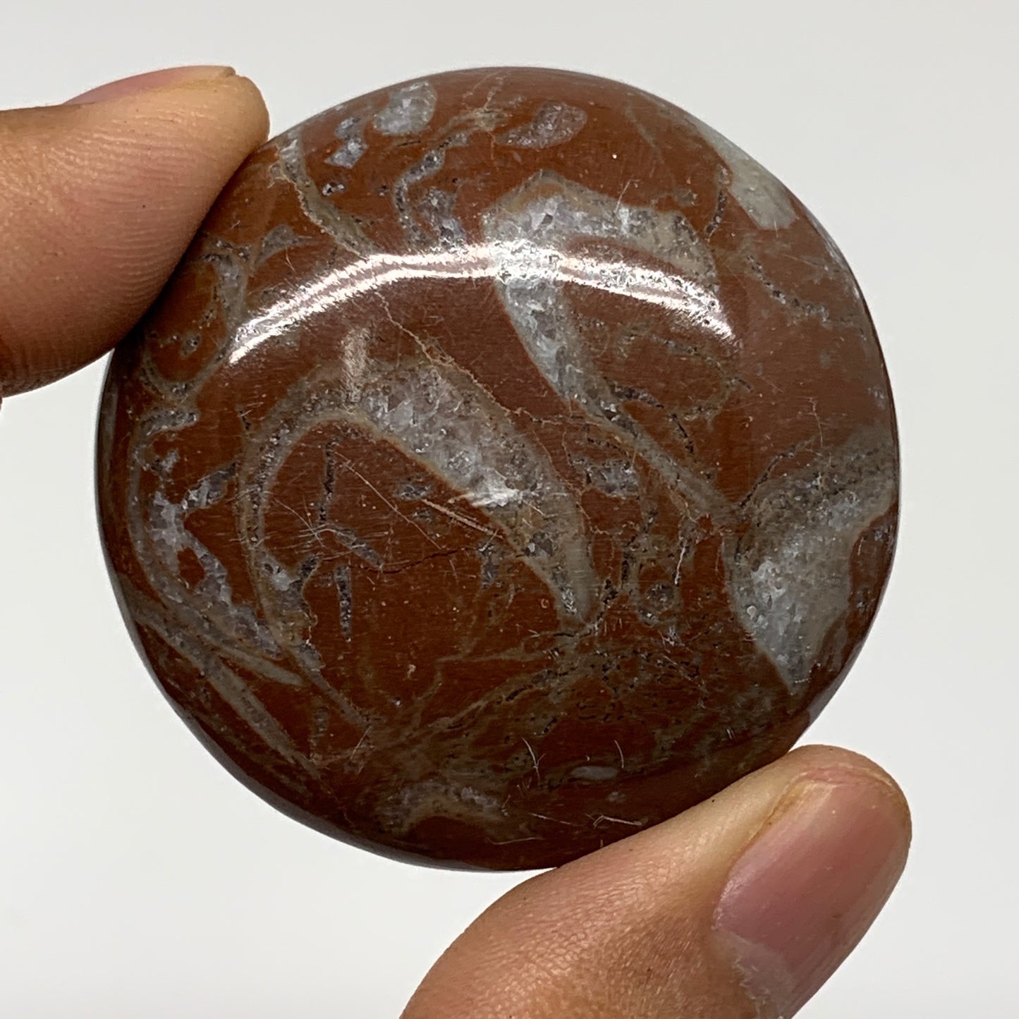 43.5g, 1.8"x0.6", Natural Untreated Red Shell Fossils Round Palms-tone, F1101