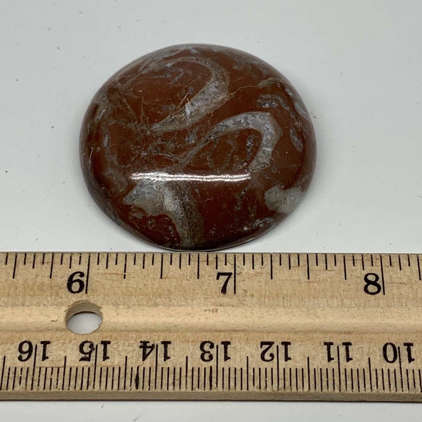 43.5g, 1.8"x0.6", Natural Untreated Red Shell Fossils Round Palms-tone, F1101