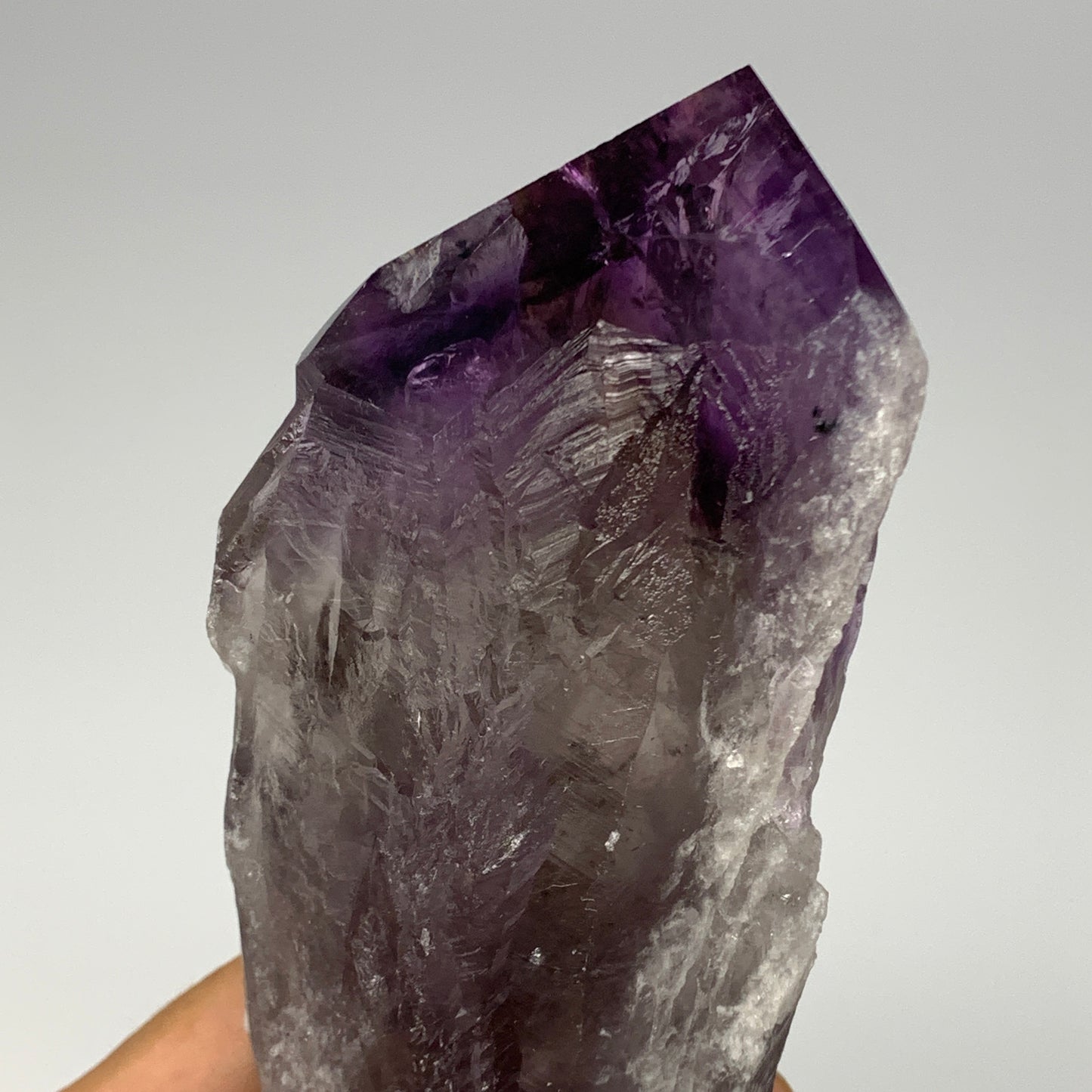 565g,10.4"x2.5"x1.6",Amethyst Point Polished Rough lower part from Brazil,B19113