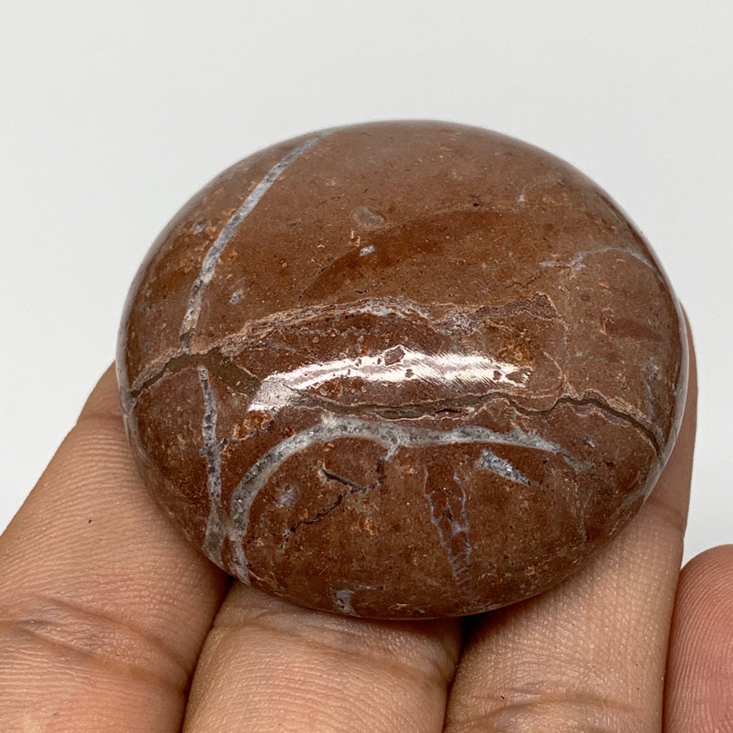 45.2g, 1.8"x0.7", Natural Untreated Red Shell Fossils Round Palms-tone, F1111