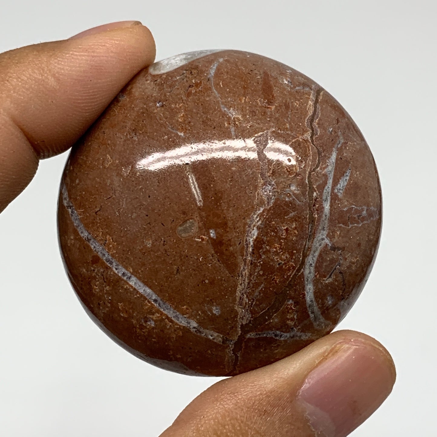 45.2g, 1.8"x0.7", Natural Untreated Red Shell Fossils Round Palms-tone, F1111