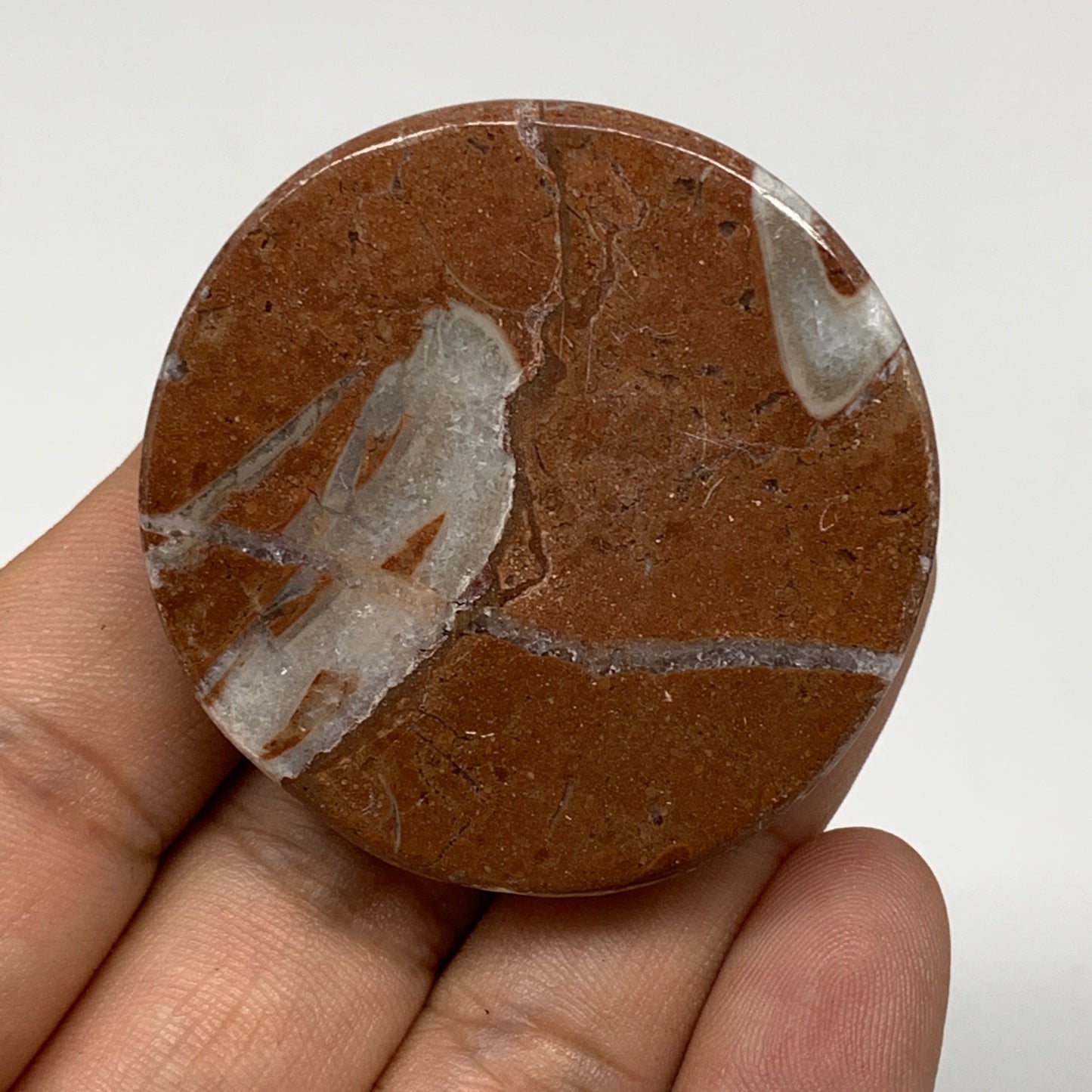 45.2g, 1.8"x0.7", Natural Untreated Red Shell Fossils Round Palms-tone, F1111