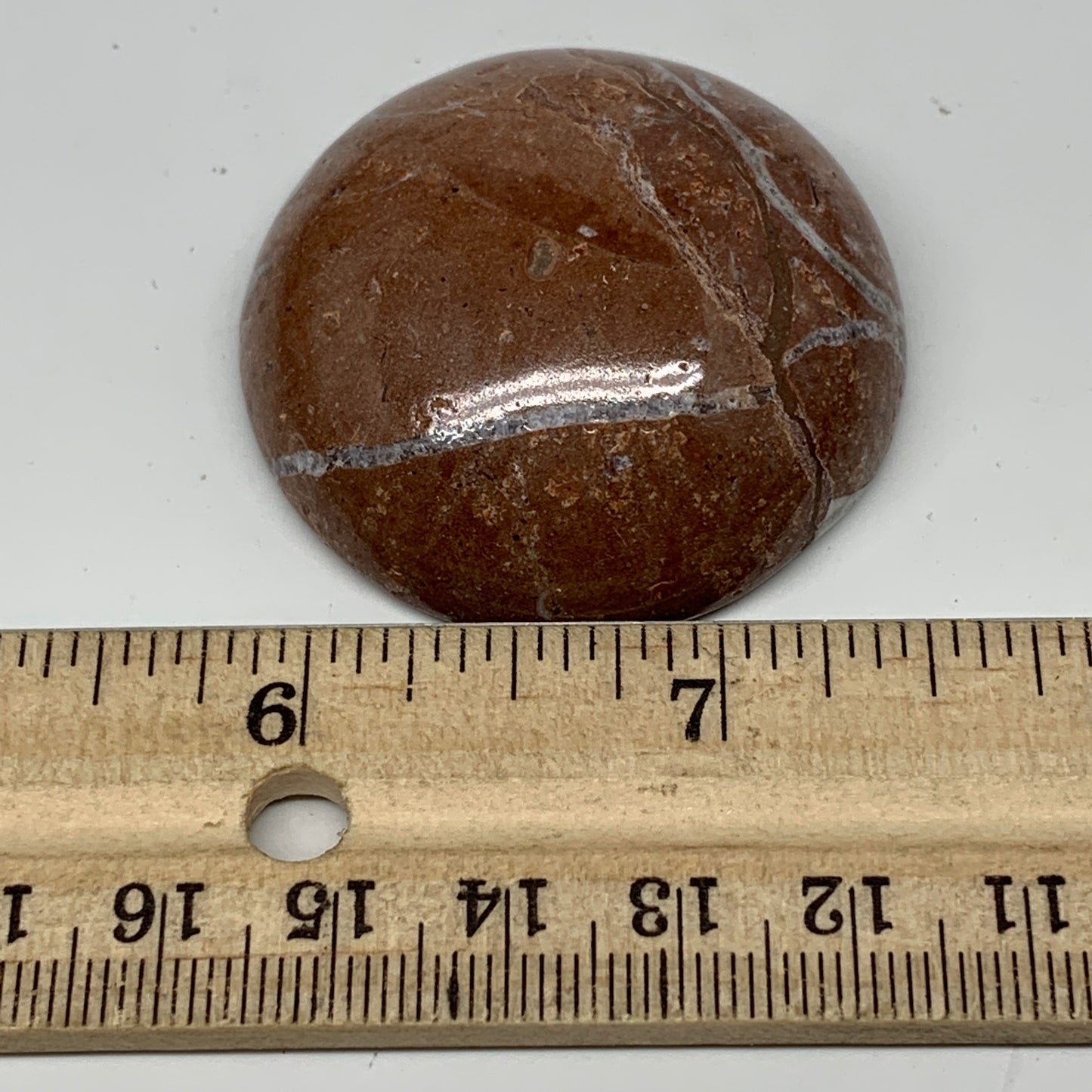 45.2g, 1.8"x0.7", Natural Untreated Red Shell Fossils Round Palms-tone, F1111