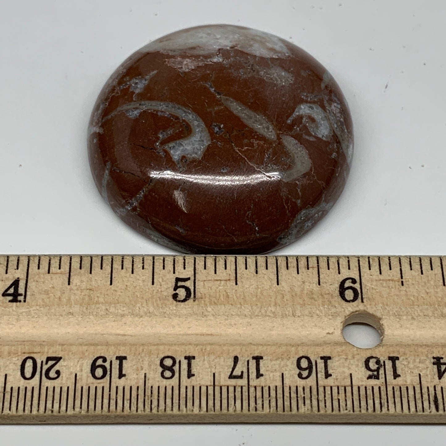 43.3g, 1.8"x0.6", Natural Untreated Red Shell Fossils Round Palms-tone, F1118