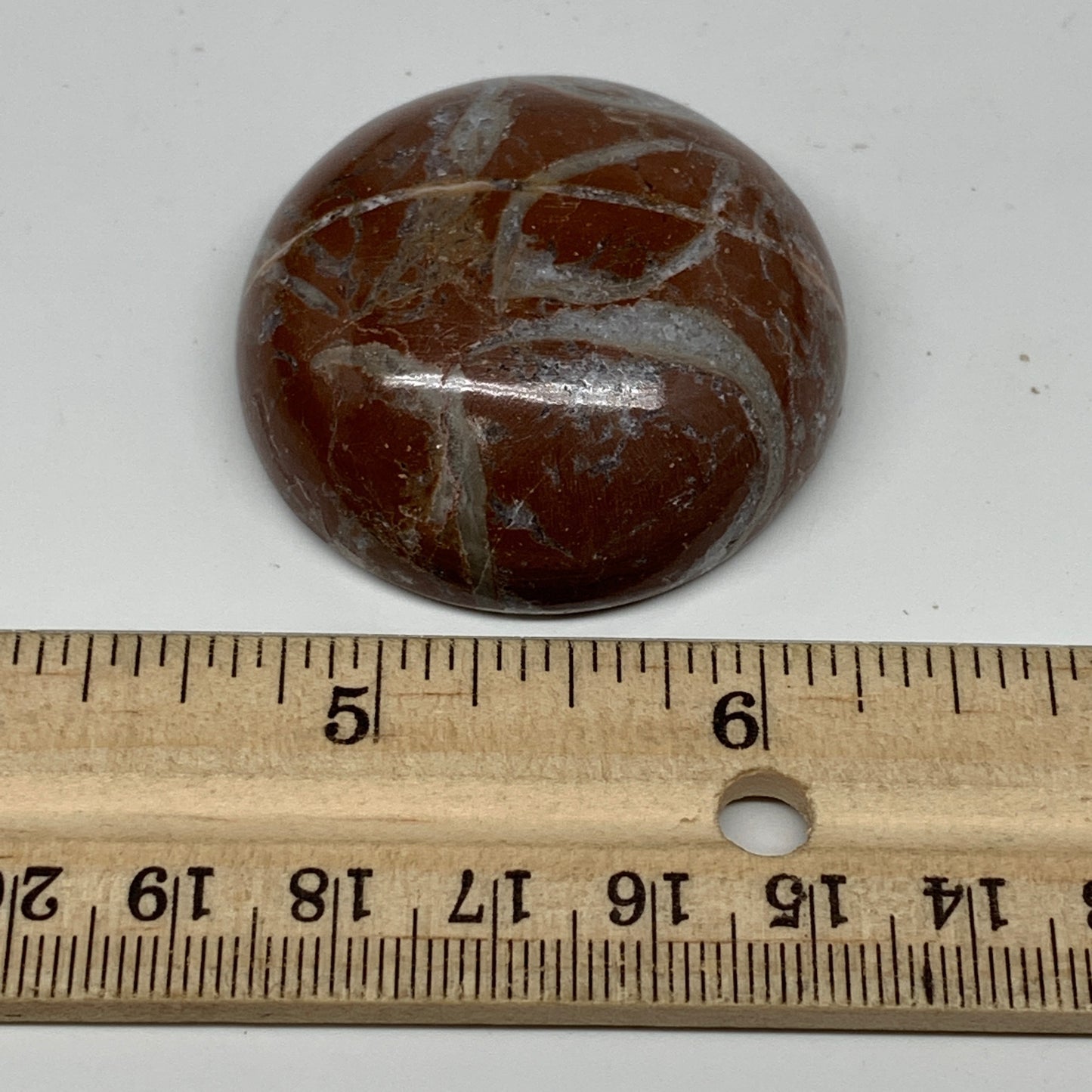 50.4g, 1.7"x0.7", Natural Untreated Red Shell Fossils Round Palms-tone, F1119