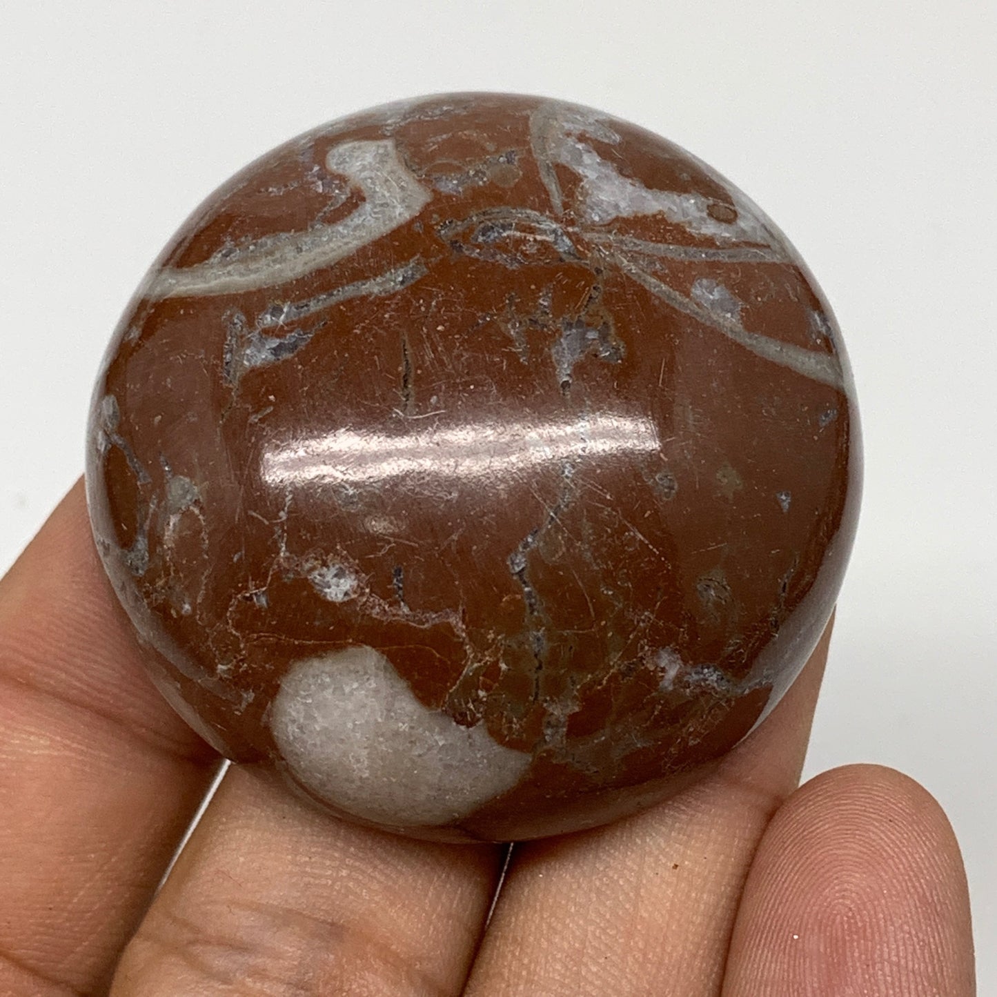 58.9g, 1.8"x0.8", Natural Untreated Red Shell Fossils Round Palms-tone, F1121