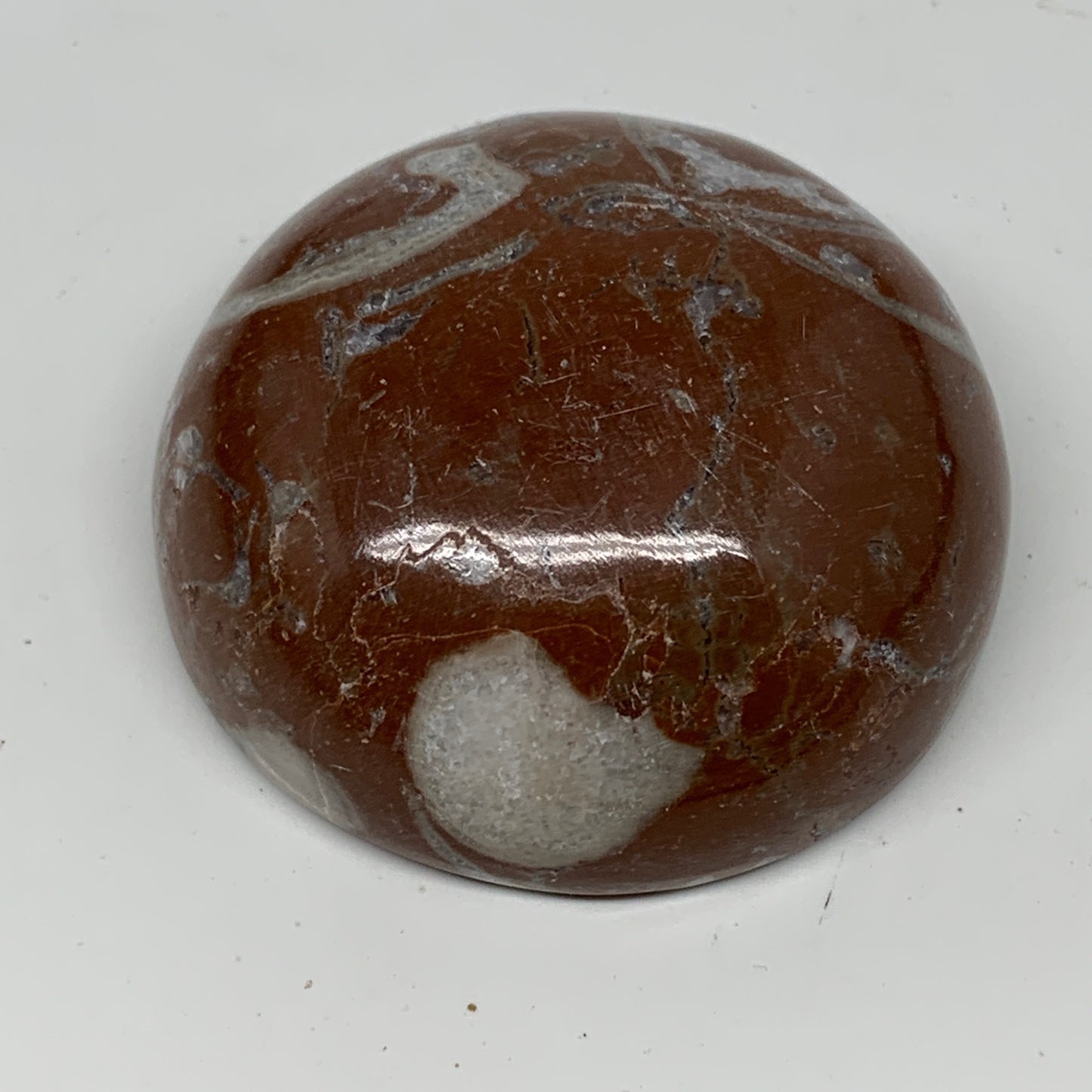 58.9g, 1.8"x0.8", Natural Untreated Red Shell Fossils Round Palms-tone, F1121