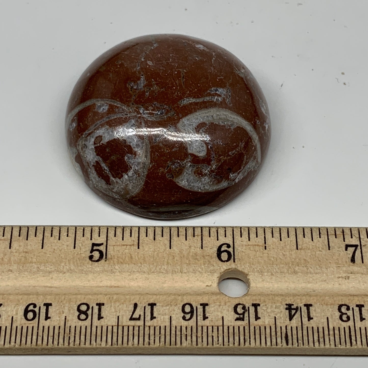 58.9g, 1.8"x0.8", Natural Untreated Red Shell Fossils Round Palms-tone, F1121