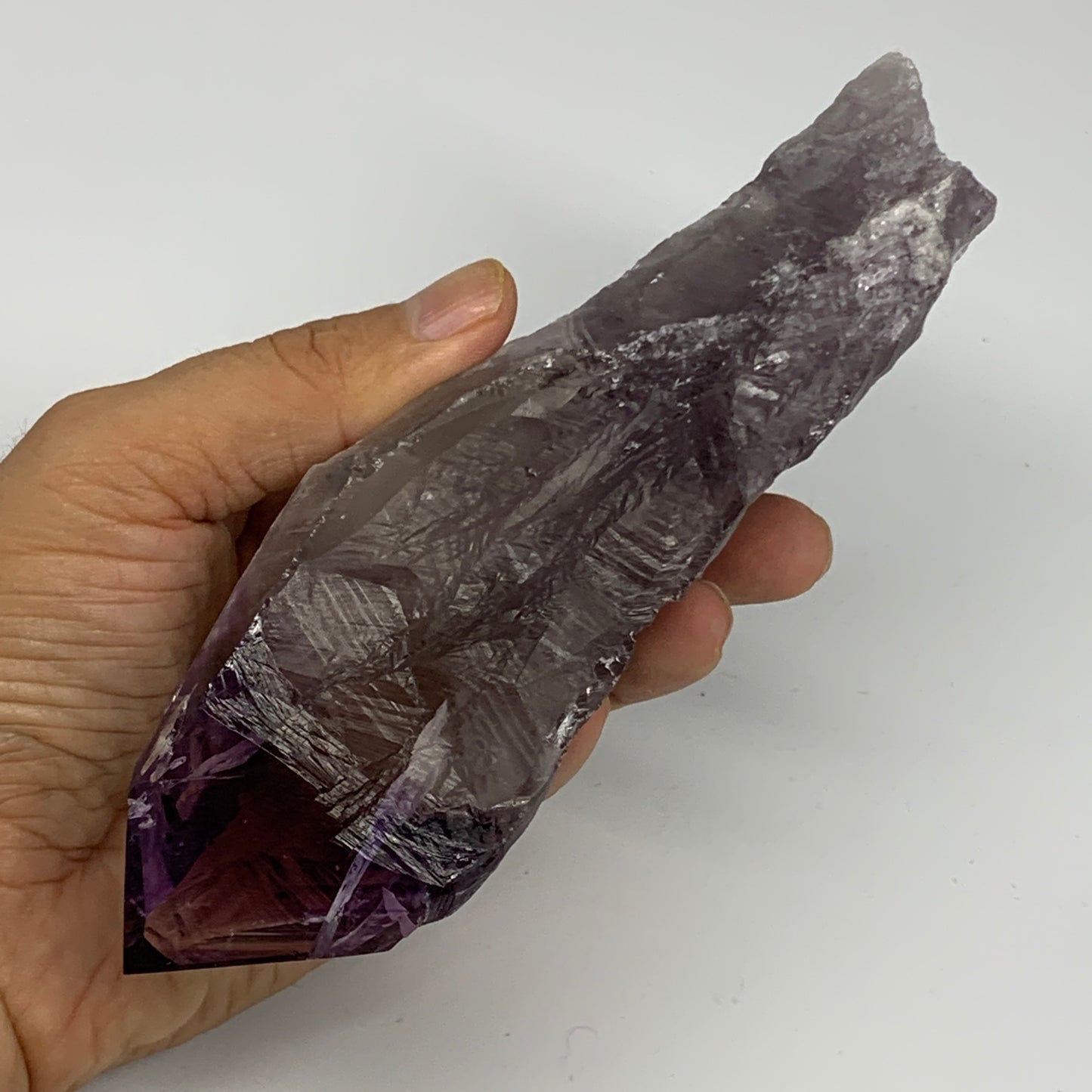 344.5g,7.3"x1.8"x1.5",Amethyst Point Polished Rough lower part from Brazil,B1912