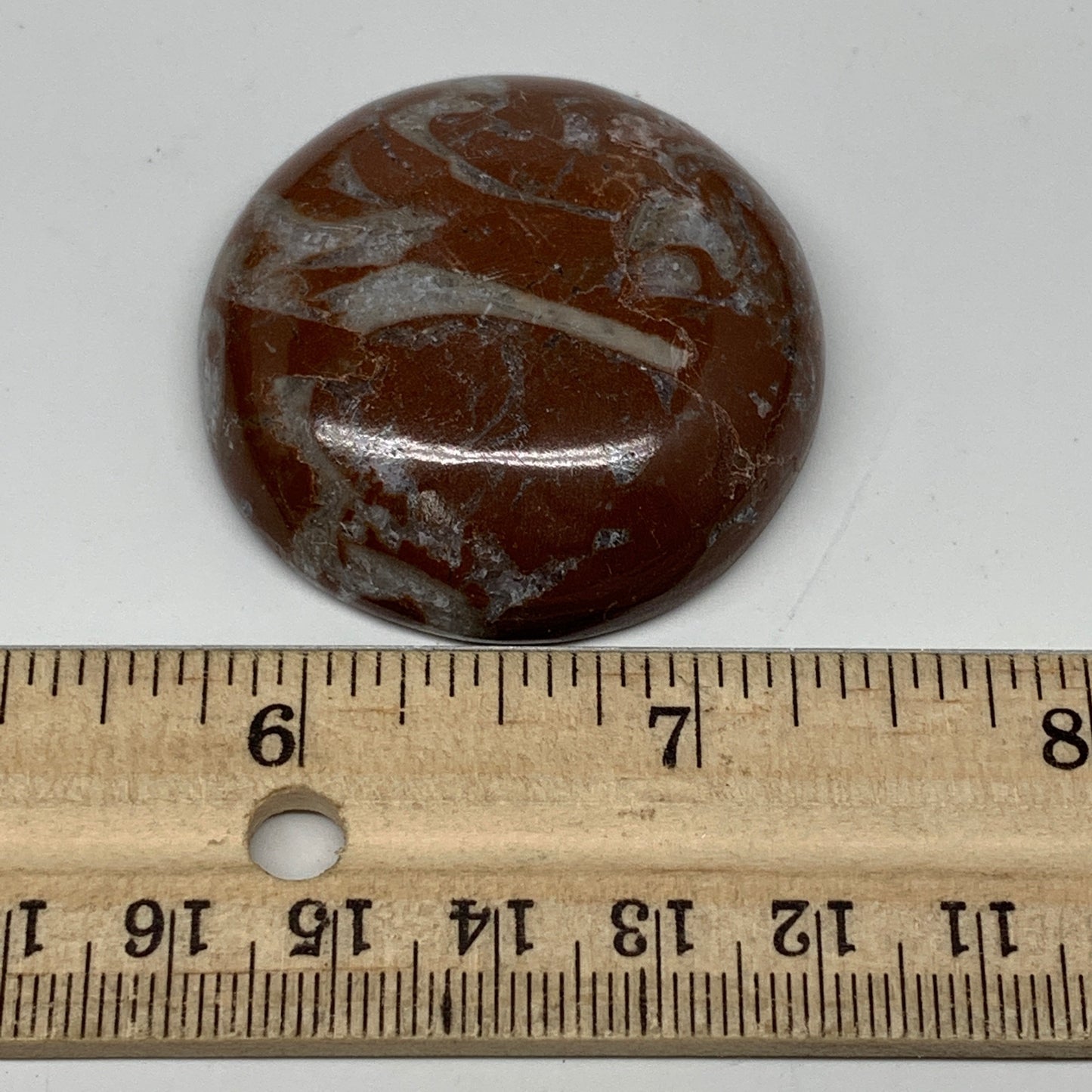 39.8g, 1.7"x0.5", Natural Untreated Red Shell Fossils Round Palms-tone, F1124