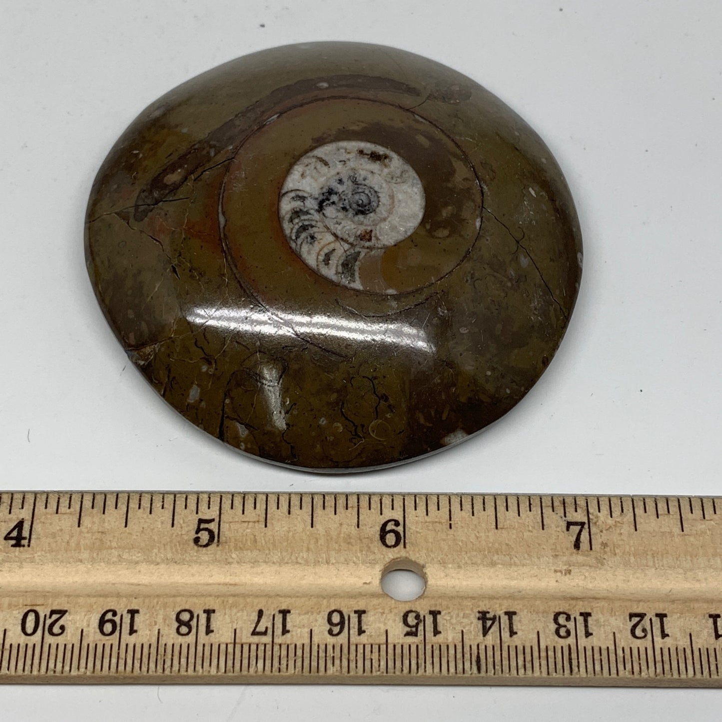 142.4g, 3"x3"x0.8", Button Ammonite Polished Mineral from Morocco, F2125