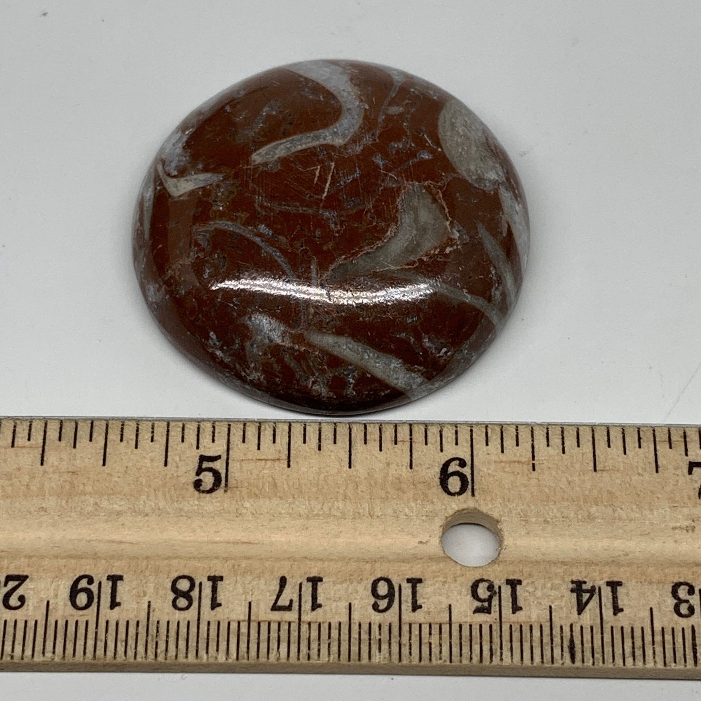 40.5g, 1.7"x0.5", Natural Untreated Red Shell Fossils Round Palms-tone, F1132